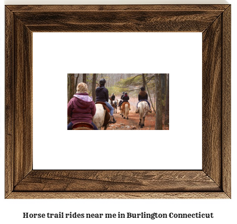 horse trail rides near me in Burlington, Connecticut